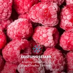 Garfield Eco Mini-Gefrierschrank 4-Sterne 34 Liter Kompakt 15 Garfield Eco Mini-Gefrierschrank 4-Sterne 34 Liter Kompakt -Küchengeräte Verkäufe 10032853 de 0006 logo