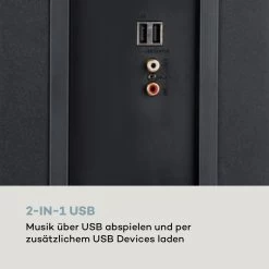 Karaboom 100 Sing Karaoketurm 120W Max. CD-Player 2 Mikrofone Wireless -Küchengeräte Verkäufe 10033250 de 0007 logo