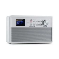 Nestor DAB+ Radio DAB+/FM 2 Betriebsmodi 2,4" TFT-Farbdisplay