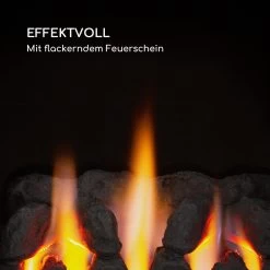 Andora Deluxe Gasheizofen Gasheizer Feuerschein Bis 3,4kW 11 Andora Deluxe Gasheizofen Gasheizer Feuerschein Bis 3,4kW -Küchengeräte Verkäufe 10035406 de 0003 logo