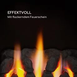 Andora Flame Gasheizofen Gasheizer Feuerschein Bis 3,4kW -Küchengeräte Verkäufe 10035407 de 0003 logo