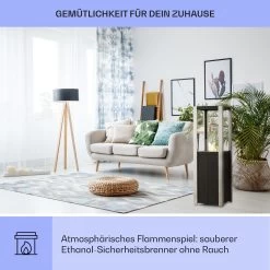 Phantasma Pinar Ethanol-Kamin Rauch- & Geruchlos Bio-Ethanol -Küchengeräte Verkäufe 10035459 de 0004 usp