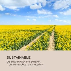 Fiamme Cilindro Ethanol-Laterne 2-Set Edelstahl-Brenner 0,3 Liter 4 H Brenndauer 16 Fiamme Cilindro Ethanol-Laterne 2-Set Edelstahl-Brenner 0,3 Liter 4 H Brenndauer -Küchengeräte Verkäufe 10036070 uk 0008 logo