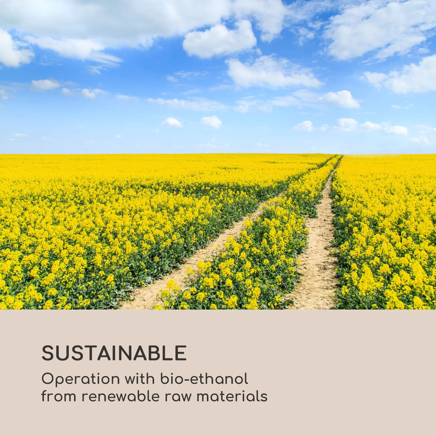 Fiamme Cilindro Ethanol-Laterne 2-Set Edelstahl-Brenner 0,3 Liter 4 H Brenndauer 8 Fiamme Cilindro Ethanol-Laterne 2-Set Edelstahl-Brenner 0,3 Liter 4 H Brenndauer – Bild 8