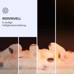 Kamini FXL 2G Elektrischer Kamin Kamineinsatz 1800 W LED-3D-Flammenillusion -Küchengeräte Verkäufe 10038367 de 0005 logo